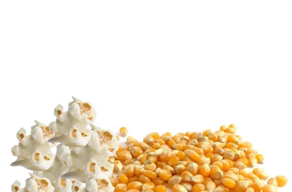 Butterfly Popcorn Kernels in Australia